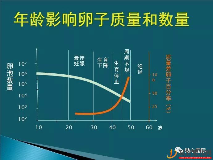 年龄是影响试管婴儿受孕率主要因素吗?(图1) 年龄是影响试管婴儿受孕率主要因素吗?(图1)