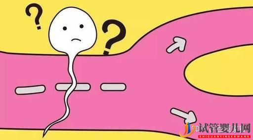无精症,还能生出自己的孩子吗(图1)