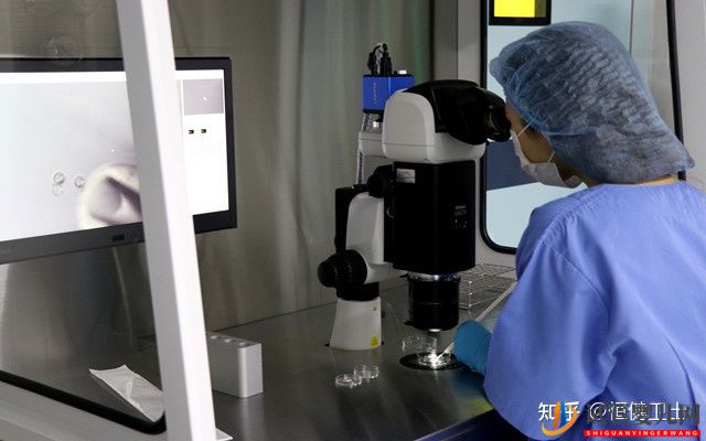 泰国第三代试管婴儿费用大概需要多少(图4) 泰国第三代试管婴儿费用大概需要多少(图4)