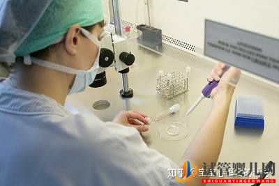 泰国第三代试管婴儿费用如何降低成功率如何提高(图2) 泰国第三代试管婴儿费用如何降低成功率如何提高(图2)