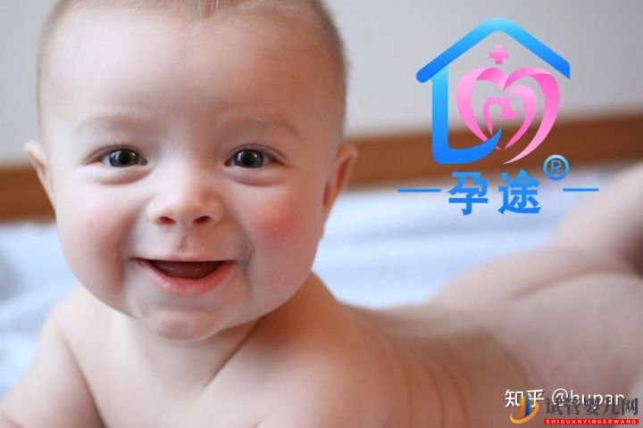 泰国试管婴儿费用与成功率是否成正比(图1) 泰国试管婴儿费用与成功率是否成正比(图1)