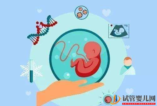 泰国三代试管的费用要多少(图2) 泰国三代试管的费用要多少(图2)