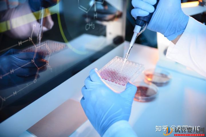泰国试管婴儿单身女性合法吗(图6) 泰国试管婴儿单身女性合法吗(图6)