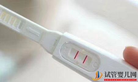 泰国试管婴儿心路历程(图2)