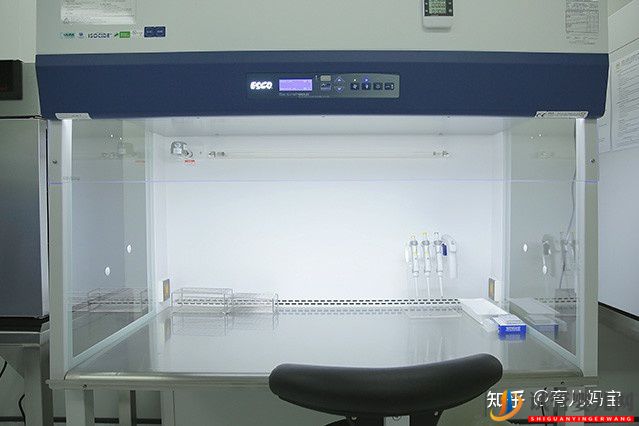 泰国试管婴儿移植正规吗(图5) 泰国试管婴儿移植正规吗(图5)
