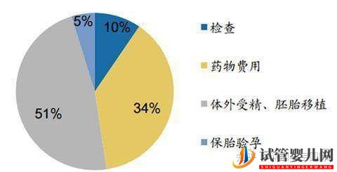 高龄产妇必看泰国试管婴儿费用预估,步骤详解(图4) 高龄产妇必看泰国试管婴儿费用预估,步骤详解(图4)
