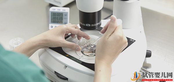 在泰国和国内做试管婴儿,费用上有哪些差异(图1) 在泰国和国内做试管婴儿,费用上有哪些差异(图1)