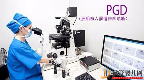 试管婴儿第三代可以选性别吗(图1)