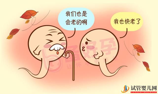男性备孕,至少要禁欲七七四十九天(图1) 男性备孕,至少要禁欲七七四十九天(图1)