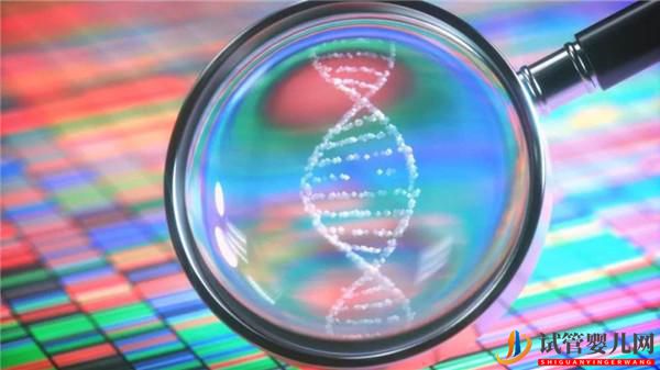 不孕不育家庭不要错过了试管婴儿的最佳年龄(试管婴儿费用大概要多少钱)(图2) 不孕不育家庭不要错过了试管婴儿的最佳年龄(图2)