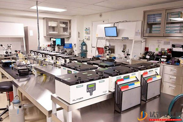 胚胎移植成功率详解,影响因素有:女性年龄、子宫内环境、体内激素水平、身体状况、胚胎质量等(图4) 胚胎移植成功率详解,影响因素有:女性年龄、子宫内环境等(图4)