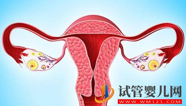 输卵管阻塞怎么治疗?输卵管阻塞需要做试管婴(图1) 输卵管阻塞怎么治疗?输卵管阻塞需要做试管婴儿吗?(图1)