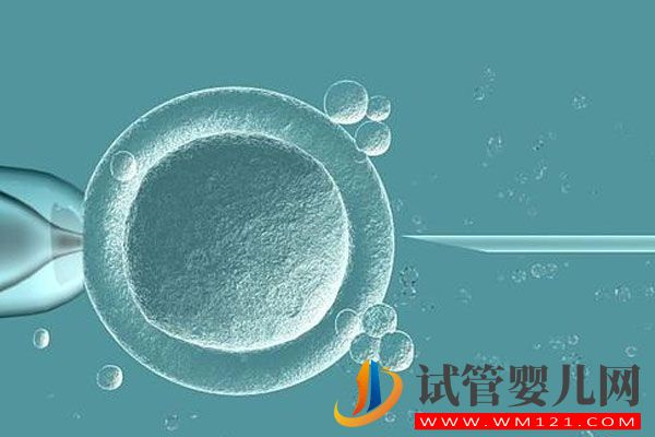 做试管婴儿胚胎移植后的注意事项总结(图1)