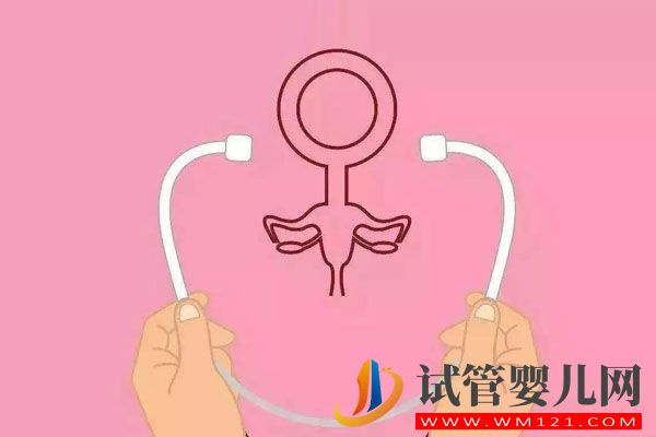 大龄、失独家庭乌克兰试管婴儿多这3项常规检查(图5)