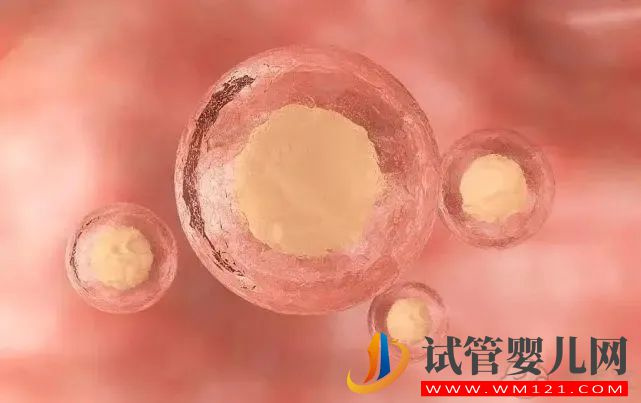 试管婴儿容易成功的人,往往都处在这个年龄段(图2) 林芝试管婴儿容易成功的人,往往都处在这个年龄段(图2)