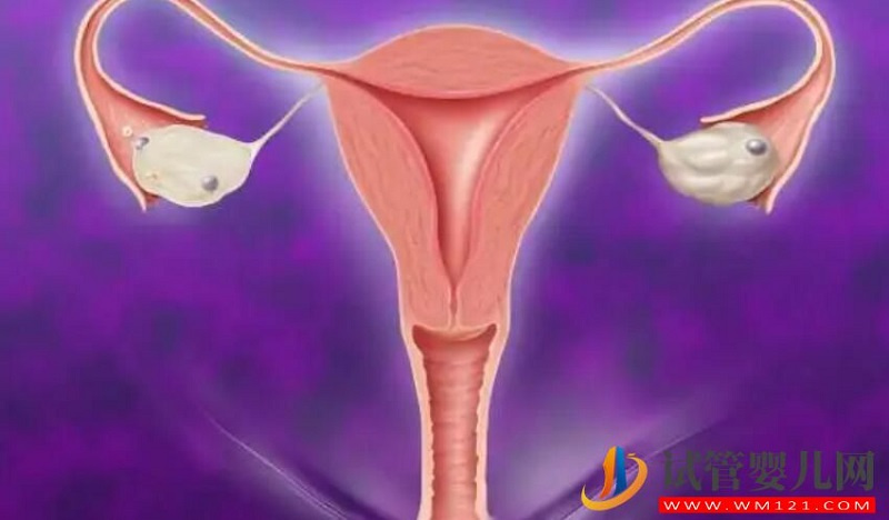 子宫发育不良可以做试管婴儿生双胞胎吗?(图1) 子宫发育不良可以做试管婴儿生双胞胎吗?(图1)
