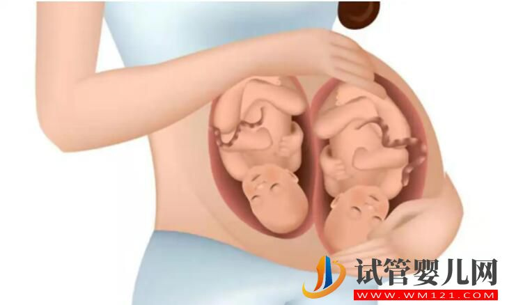 子宫发育不良可以做试管婴儿生双胞胎吗?(图2) 子宫发育不良可以做试管婴儿生双胞胎吗?(图2)