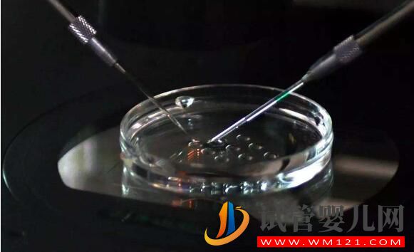 试管婴儿移植后胚胎着床是什么感觉?(图4) 试管婴儿移植后胚胎着床是什么感觉?(图4)