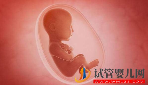 人工授精和试管婴儿详细介绍及对比?(图5) 人工授精和试管婴儿详细介绍及对比?(图5)