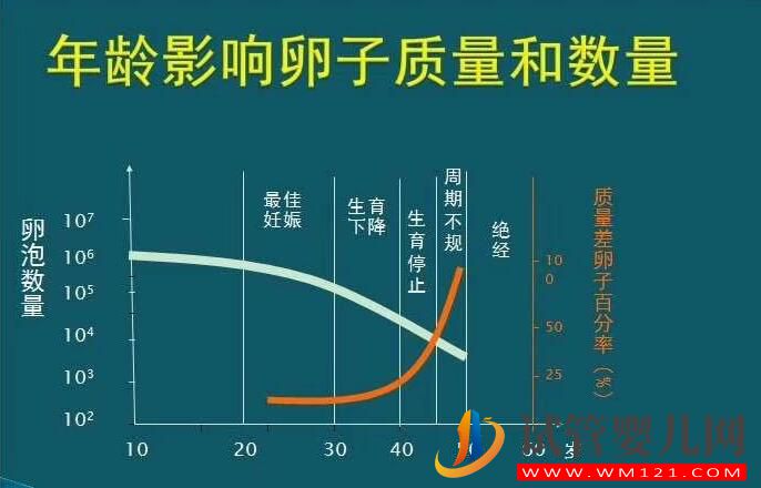 女人多少岁后不能做试管婴儿?(图1) 女人多少岁后不能做试管婴儿?(图1)