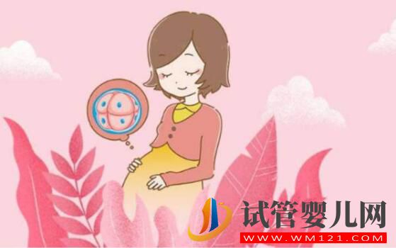 女人多少岁后不能做试管婴儿?(图3) 女人多少岁后不能做试管婴儿?(图3)