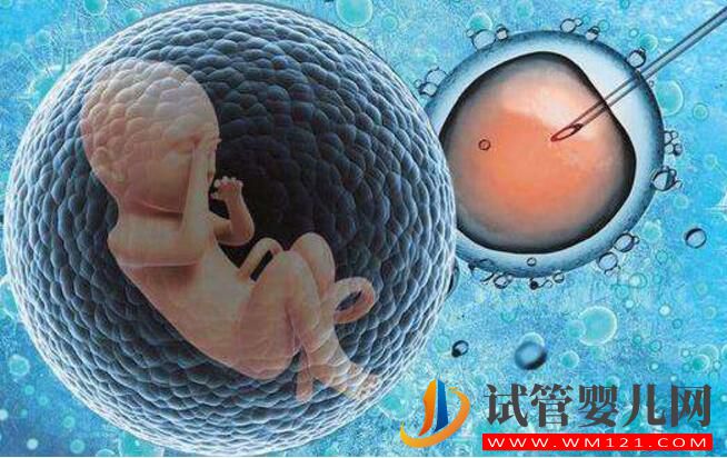 试管婴儿的这些误解你有没有听说过?(图1) 试管婴儿的这些误解你有没有听说过?(图1)