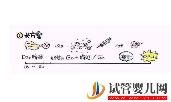 做试管促排费用要多少?(图3) 做试管促排费用要多少?(图3)
