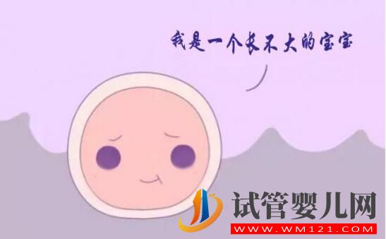 卵泡不长能做试管吗?(图1) 卵泡不长能做试管吗?(图1)