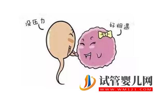 做试管婴儿前需要怎么调理身体?(图1) 做试管婴儿前需要怎么调理身体?(图1)