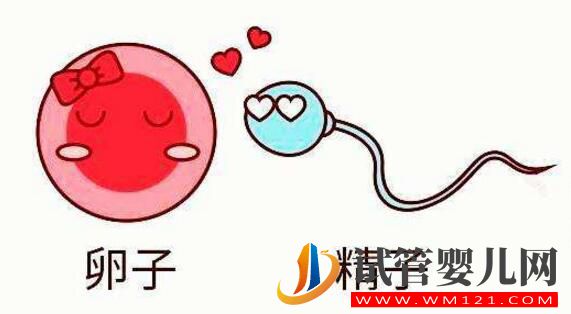 试管卵子质量不好怎么办?(图1) 试管卵子质量不好怎么办?(图1)
