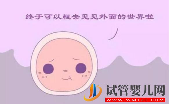 试管卵子质量不好怎么办?(图2) 试管卵子质量不好怎么办?(图2)