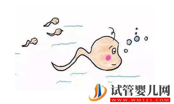试管婴儿的出发点和原理是什么?想要了解的进来看看了(图1) 试管婴儿的出发点和原理是什么?想要了解的进来看看了(图1)