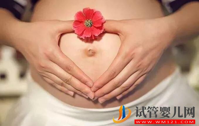 试管胚胎移植后要注意什么?(图1) 试管胚胎移植后要注意什么?(图1)