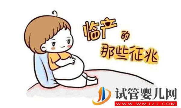 做完试管婴儿后怎么判断是否怀孕?(图1) 做完试管婴儿后怎么判断是否怀孕?(图1)