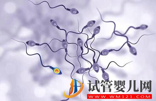 做完试管婴儿后怎么判断是否怀孕?(图3) 做完试管婴儿后怎么判断是否怀孕?(图3)