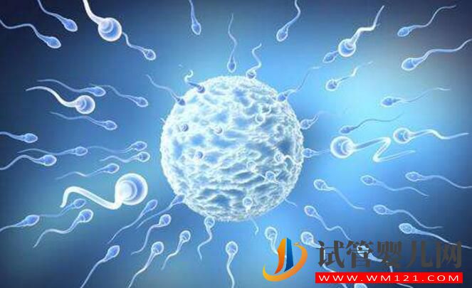 逆行射精可以做试管婴儿吗?(图2) 逆行射精可以做试管婴儿吗?(图2)