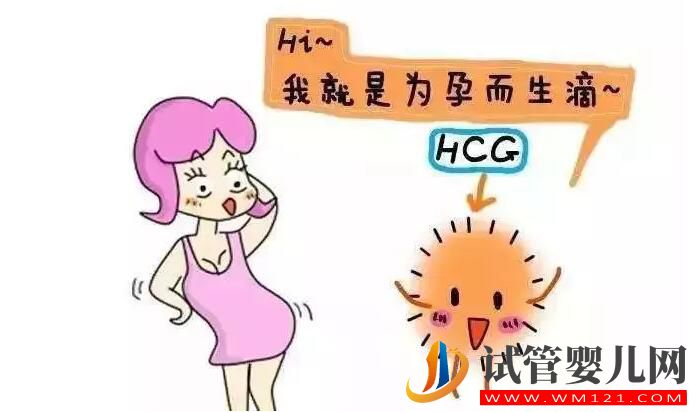HCG对准妈妈有哪些作用？(图1)