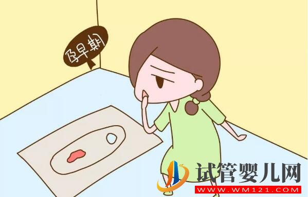 试管婴儿移植后阴道出血怎么办?(图2) 试管婴儿移植后阴道出血怎么办?(图2)