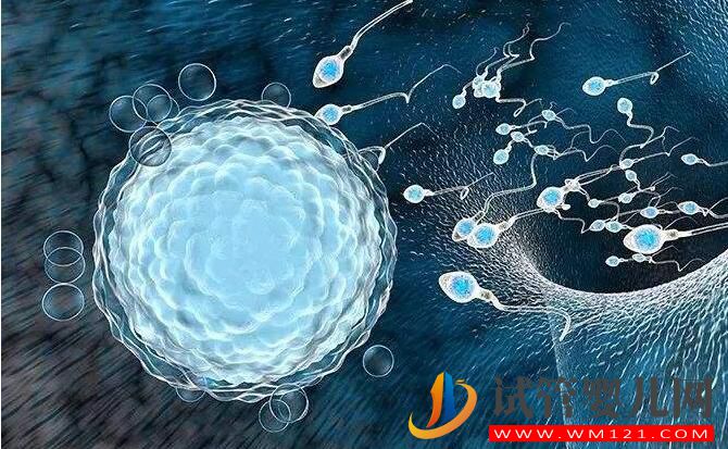 试管婴儿是用老公的精子吗?(图3) 试管婴儿是用老公的精子吗?(图3)