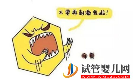 试管的促排方案有哪些?(图3) 阿图什试管的促排方案有哪些?(图3)