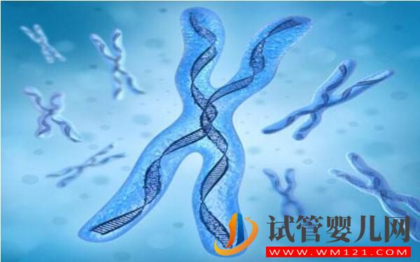 染色体异常做试管婴儿搞不定?(图1) 染色体异常做试管婴儿搞不定?(图1)