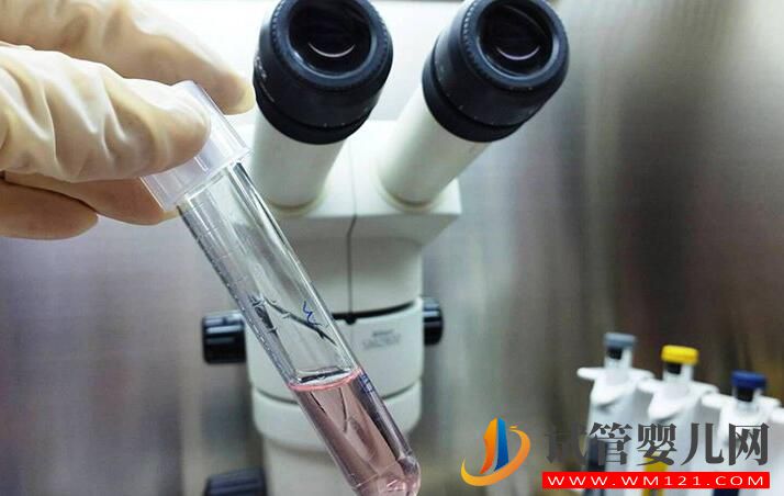试管婴儿不能生孩子这个说法是真还是假?(图1) 试管婴儿不能生孩子这个说法是真还是假?(图1)