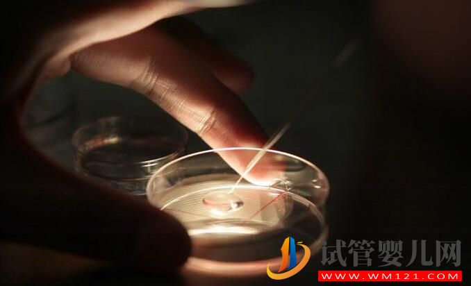 试管婴儿不能生孩子这个说法是真还是假?(图3) 试管婴儿不能生孩子这个说法是真还是假?(图3)
