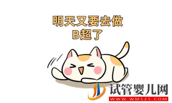 试管婴儿月经期要做b超吗?(图3) 试管婴儿月经期要做b超吗?(图3)