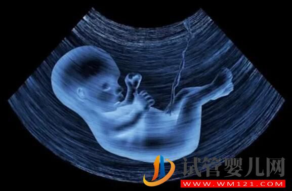 试管婴儿月经期要做b超吗?(图4) 试管婴儿月经期要做b超吗?(图4)