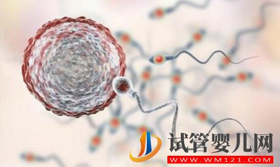 做试管婴儿多少岁比较合适?(图3) 做试管婴儿多少岁比较合适?(图3)
