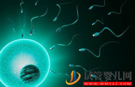 试管婴儿客户问答汇总(图4) 试管婴儿客户问答汇总(图4)