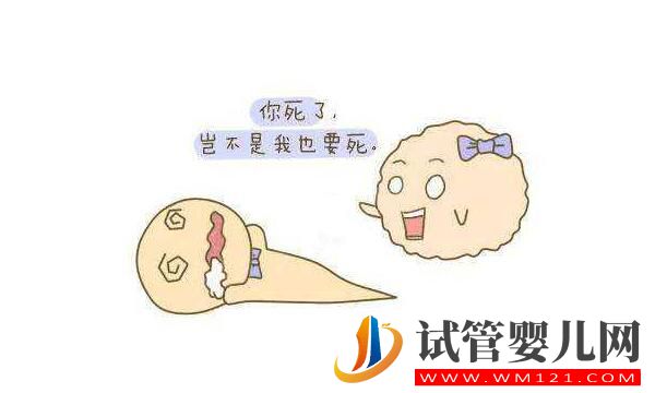 试管中精卵不结合该怎么解决?精卵结合后为什么不着床?(图1) 试管中精卵不结合该怎么解决?精卵结合后为什么不着床?(图1)