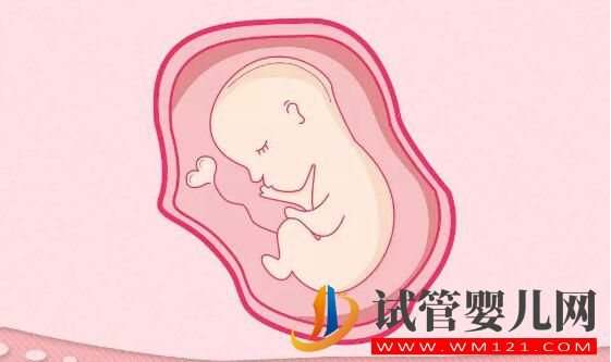 哪些情况会建议做试管?做试管婴儿缓解压力的方式(图4) 哪些情况会建议做试管?做试管婴儿缓解压力的方式(图4)