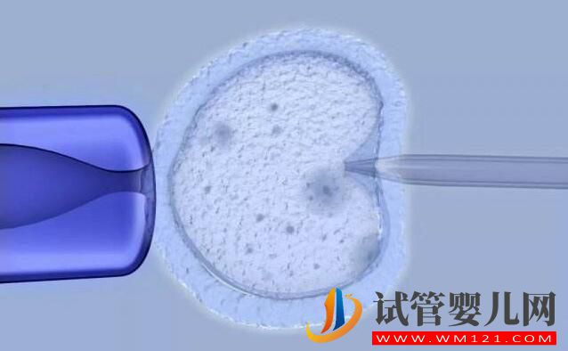 试管婴儿IVF和人工授精IUI有什么区别和不同(图4) 试管婴儿IVF和人工授精IUI有什么区别和不同(图4)